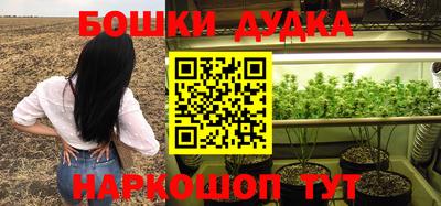 молекула духа Коммунар