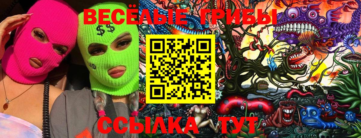 Кольчугино  Галлюциногенные грибы ЛСД  Вход с VPN 